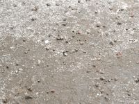 Feet - Valya - 2007-02-12 Sexy feet endure much