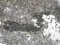 Feet - Valya - 2007-06-15 Hot feet and cold snow