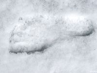 Feet - Valya - 2007-06-15 Hot feet and cold snow