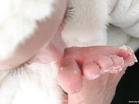 Feet - Valya - 2007-06-15 Hot feet and cold snow