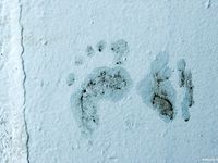 Feet - Valya - 2007-06-15 Hot feet and cold snow