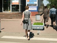 Feet - Valya A - 2016-02-28 A girl with plaited hair