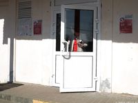 Feet - Vera - 2018-03-31 A spring barefoot stroll