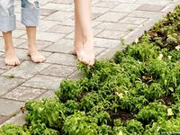 Feet - Zoya + Lana + Marisha - 2008-05-15 Barefoot ladies from Belarus