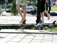 Feet - Zoya + Lera + Marisha - 2008-06-12 Barefoot ladies from Belarus