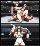 Femdom Art collection