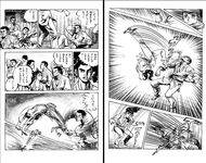 Comic/Manga/Anime martial art woman