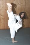 barefoot karate feet kicks