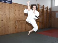 barefoot karate feet kicks