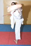 barefoot karate feet kicks