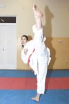 barefoot karate feet kicks