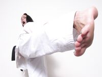 barefoot karate feet kicks