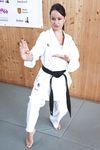 barefoot karate feet kicks
