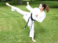 barefoot karate feet kicks