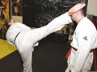 Barefoot Karate Facekicks