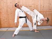 Barefoot Karate Facekicks