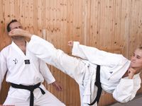 Barefoot Karate Facekicks