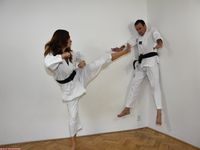 Barefoot Karate Facekicks