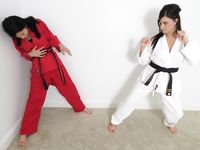Lethal Barefoot Black belt Karate master