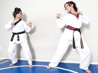 Lethal Barefoot Black belt Karate master