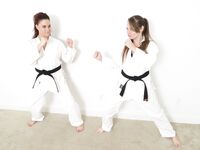 Lethal Barefoot Black belt Karate master