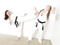 Lethal Barefoot Black belt Karate master