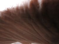 Lethal Barefoot Black belt Karate master