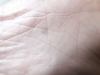 Lethal Barefoot Black belt Karate master