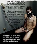 tumblr_mg3lawe9TB1r7ltgmo1_1280