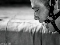 tumblr_mxay9vHrl81rp9c8po1_1280