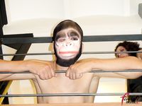 FemdomInsider - Lady Mary - Caning My Pitiful Primate