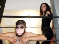 FemdomInsider - Lady Mary - Caning My Pitiful Primate