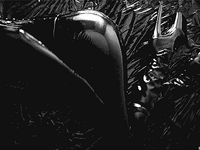 tumblr_n3o8y3xMVS1tpspkgo2_1280