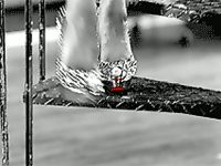 tumblr_n4sxsoexXX1toxpnto1_1280