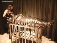 tumblr_n466vfHizF1t0pj29o1_1280