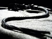 tumblr_ncnoeiQVXg1smoa2vo1_1280