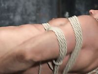 tumblr_nio0uxkmgE1s49y60o3_1280