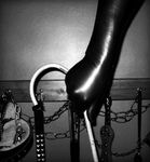 tumblr_mc2a93a7AJ1rduwybo1_1280