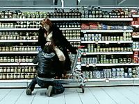 tumblr_p2bavrn40u1w11nuso8_r1_400