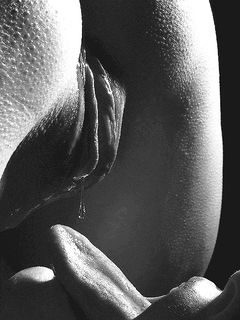 tumblr_ngqxvo15sY1u3cwlho1_1280