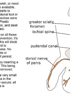 tumblr_oftx2aX8HP1v51w7zo1_1280