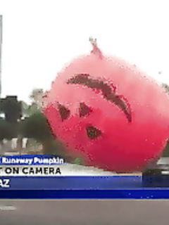 tumblr_ofyy6ygOWX1uutnkko1_1280