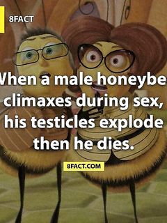 tumblr_oib6jwKo6A1thp4d1o1_1280