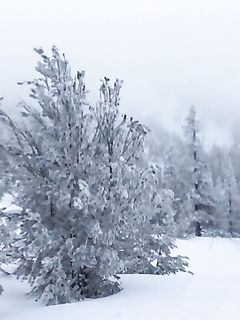 tumblr_okvnbrXY9L1u2d5pn_smart1