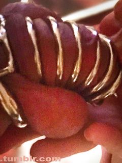 tumblr_ox4ll2kDfB1wpi8cvo1_1280