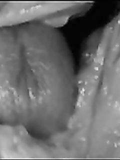 tumblr_p4apq9scup1w8or77o7_250