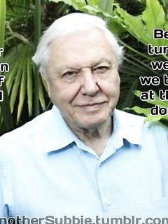 tumblr_p878uz3HsV1vte771o5_1280