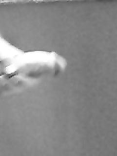 tumblr_pdatax6MG61w8or77o5_250