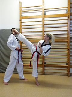 TKD Kick