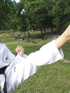 Barefoot Karate Facekicks